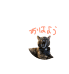 むぎちゃんとしおちゃん（個別スタンプ：2）