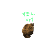 むぎちゃんとしおちゃん（個別スタンプ：4）