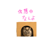 むぎちゃんとしおちゃん（個別スタンプ：21）