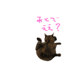 むぎちゃんとしおちゃん（個別スタンプ：27）
