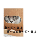 カリンの日常（個別スタンプ：3）