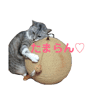 カリンの日常（個別スタンプ：6）