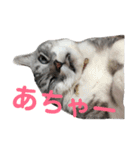カリンの日常（個別スタンプ：9）