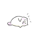 ニャザラシさん（個別スタンプ：34）
