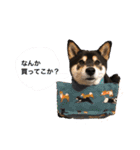 黒柴龍とシマミケ姫（個別スタンプ：4）