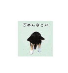 黒柴龍とシマミケ姫（個別スタンプ：10）