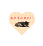 黒柴龍とシマミケ姫（個別スタンプ：15）