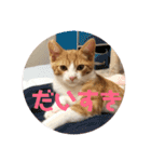 こにちゃん(1)（個別スタンプ：24）