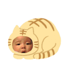 とっきーの日常（個別スタンプ：5）