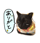 我が家のアイドル、猫ズ。ルーは多めで♡（個別スタンプ：5）