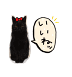 我が家のアイドル、猫ズ。ルーは多めで♡（個別スタンプ：13）