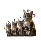 我が家のアイドル、猫ズ。ルーは多めで♡（個別スタンプ：31）