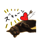我が家のアイドル、猫ズ。ルーは多めで♡（個別スタンプ：33）