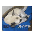 ゆうゆうちゃん No.1（個別スタンプ：15）