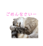 kazuneeeの作るsuzuスタンプ（個別スタンプ：2）