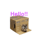 kazuneeeの作るsuzuスタンプ（個別スタンプ：8）