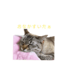 kazuneeeの作るsuzuスタンプ（個別スタンプ：13）