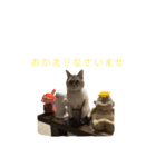 kazuneeeの作るsuzuスタンプ（個別スタンプ：16）