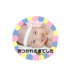 ひなのんすたんぷ（個別スタンプ：2）