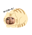 ひなのんすたんぷ（個別スタンプ：4）