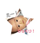 ひなのんすたんぷ（個別スタンプ：6）