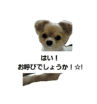 ちょこちゃんですよ（個別スタンプ：7）