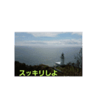 見上げた先（個別スタンプ：4）