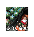 あおちゃんスタンプ2ヶ月（個別スタンプ：24）