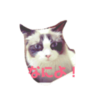 ビビ様の日常（個別スタンプ：1）