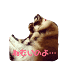 ビビ様の日常（個別スタンプ：2）