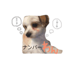 ぷりんの森（個別スタンプ：3）
