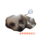 ぷりんの森（個別スタンプ：7）