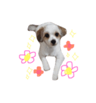 ぷりんの森（個別スタンプ：8）