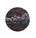 すてきなお花たち（個別スタンプ：7）