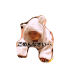 お紗凪スタンプ（個別スタンプ：8）