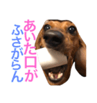 光崎家のワンコと時々ネズミちゃん（個別スタンプ：13）