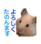 光崎家のワンコと時々ネズミちゃん（個別スタンプ：24）