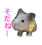 光崎家のワンコと時々ネズミちゃん（個別スタンプ：26）
