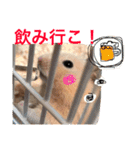 光崎家のワンコと時々ネズミちゃん（個別スタンプ：28）