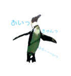 イキモノ色々（個別スタンプ：7）