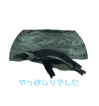 イキモノ色々（個別スタンプ：8）