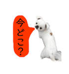 メロちゃんスタンプ第一弾（個別スタンプ：2）