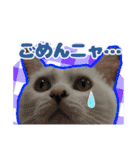 てつ vol.3（個別スタンプ：1）