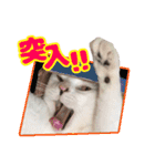 てつ vol.3（個別スタンプ：2）