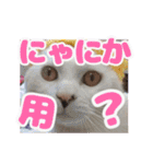 てつ vol.3（個別スタンプ：3）