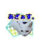 てつ vol.3（個別スタンプ：4）