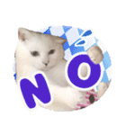 てつ vol.3（個別スタンプ：5）