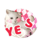 てつ vol.3（個別スタンプ：6）