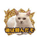 てつ vol.3（個別スタンプ：9）
