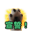 てつ vol.3（個別スタンプ：10）